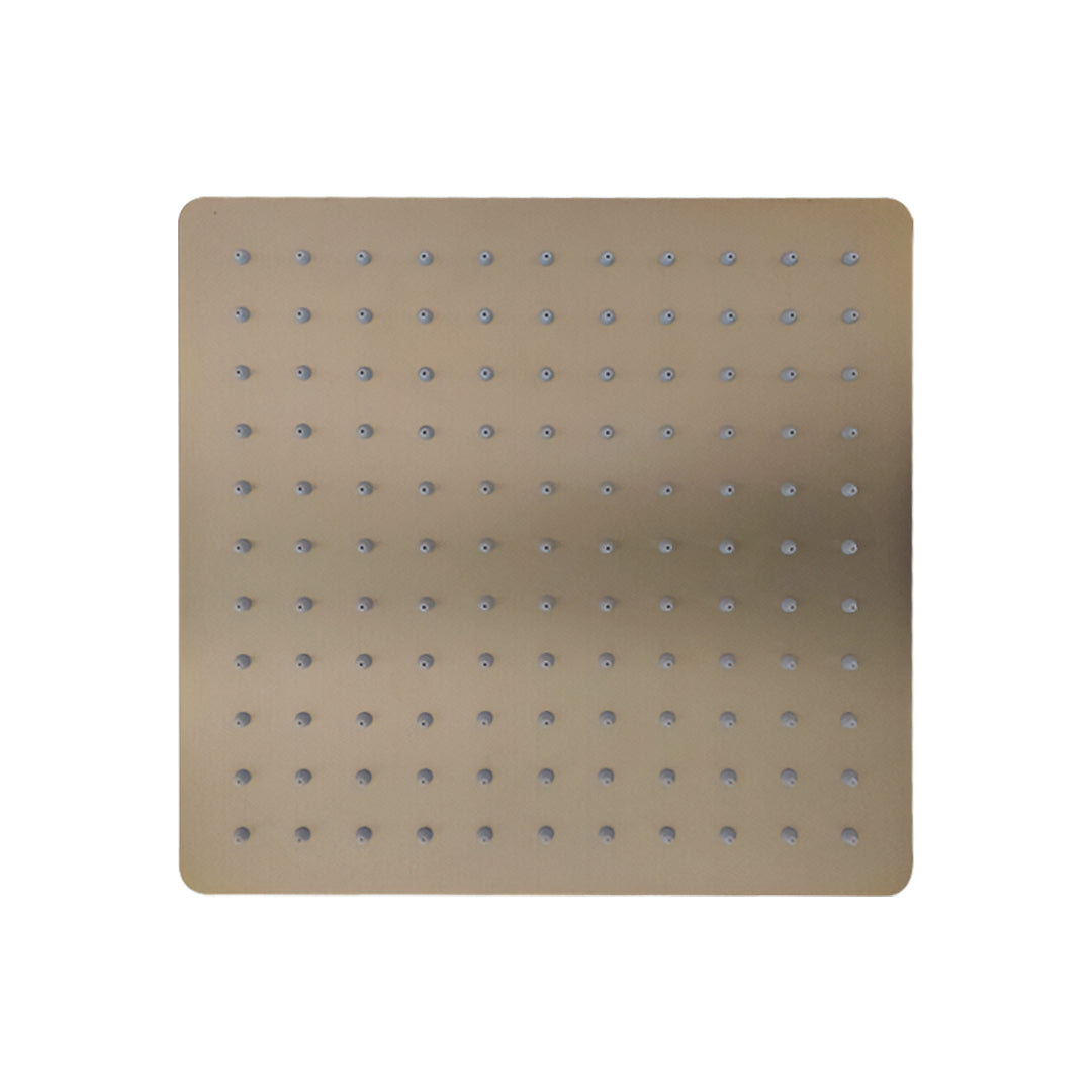 Cabezal de ducha - CD40